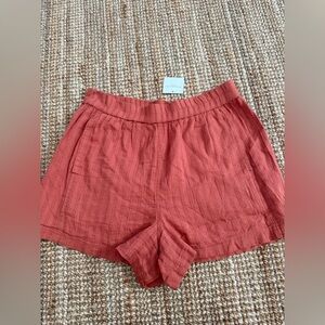 American Eagle Shorts NWT